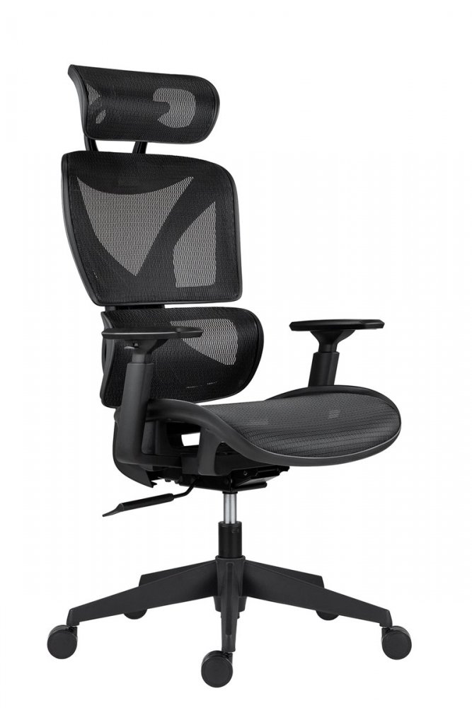 Kancelářská ergonomická židle ESTER — síť, černá, nosnost 130 kg