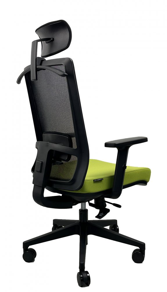 Kancelářská ergonomická židle DVIS — více barev Černá (obrázek 10)