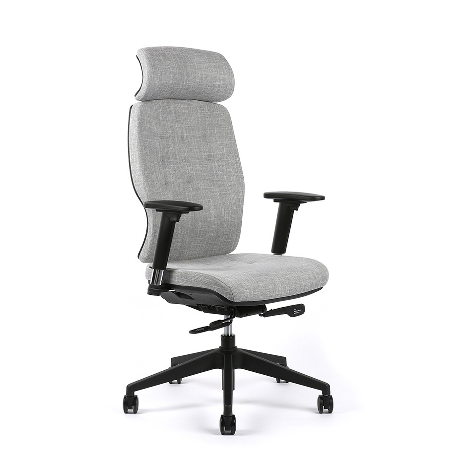 Kancelářská ergonomická židle SELENE — více barev Modrá F83