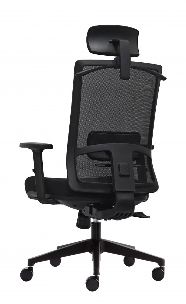 Kancelářská ergonomická židle DVIS — více barev Černá (obrázek 26)