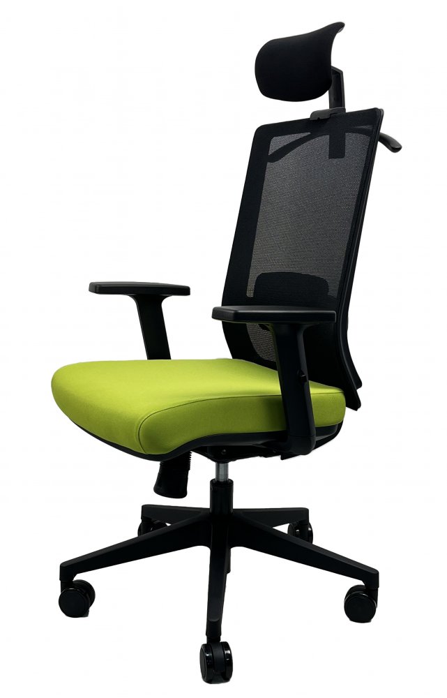 Kancelářská ergonomická židle DVIS — více barev Černá (obrázek 14)