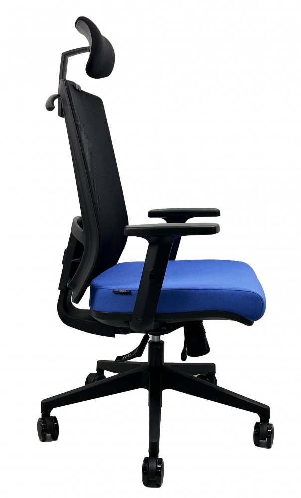 Kancelářská ergonomická židle DVIS — více barev Černá (obrázek 17)