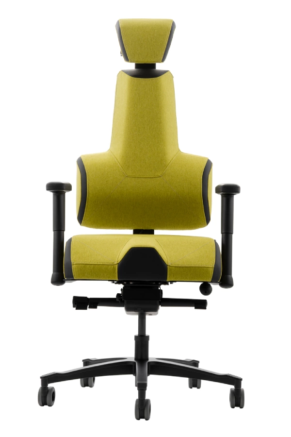 Levně Zdravotní židle THERAPIA ENERGY+ Black Color 2XL (180 - 200 cm)–⁠ na míru, více barev HX55/ KX99 Lime