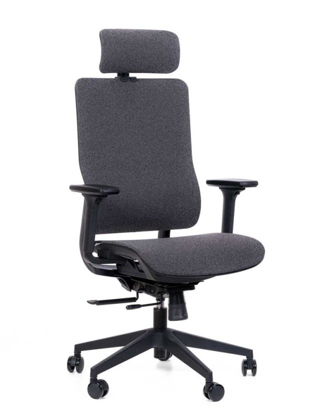 Kancelárske ergonomické kreslo Sego RUBIQ — viac farieb - Barevné provedení Sego RUBIQ: čierna
