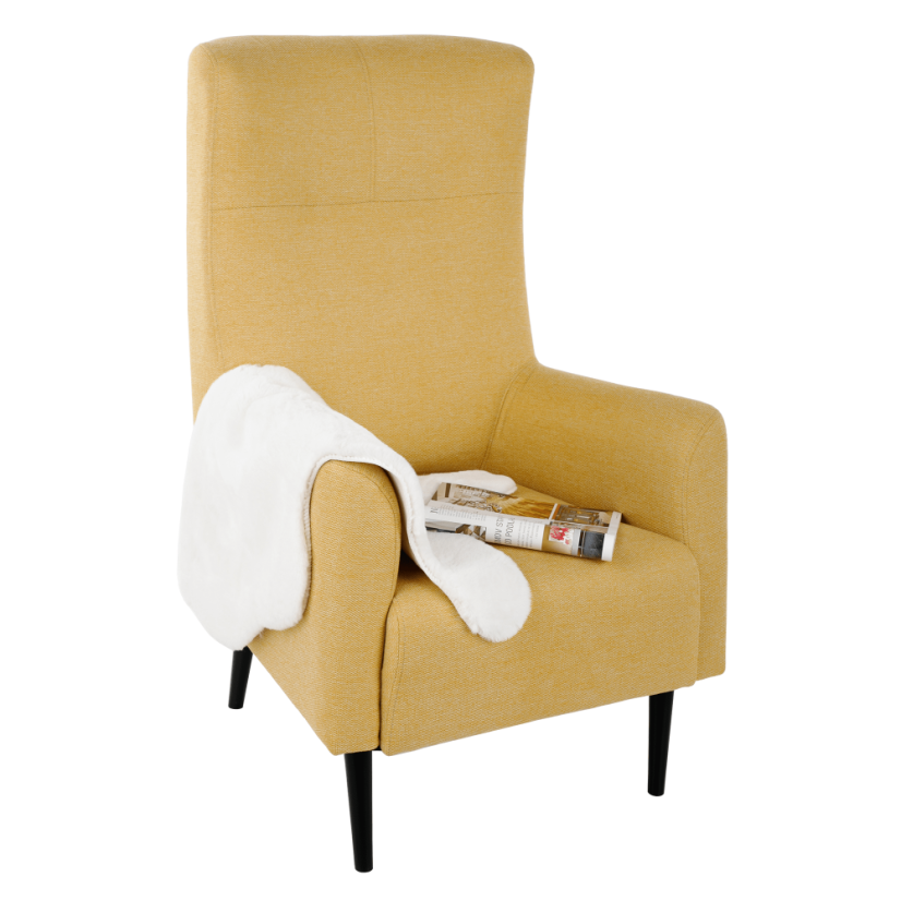 Křeslo ušák SAMY — masiv, látka, více barev