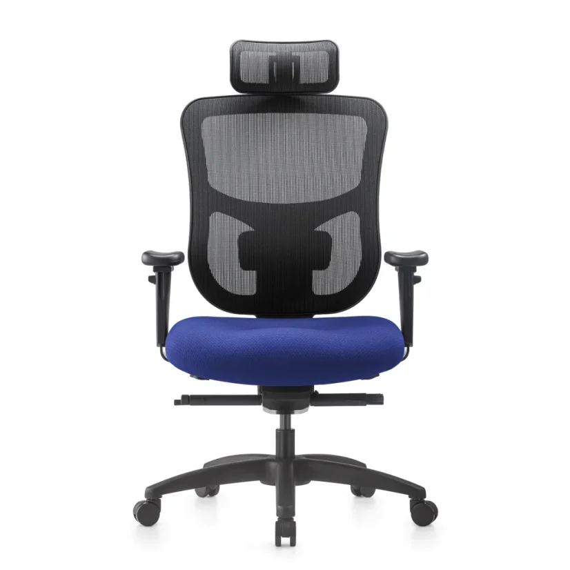 Kancelárska ergonomická stolička NATUS Q24 - sieťovina, nosnosť 180 kg, 3-ročná záruka, viac farieb - Barevné provedení NATUS Q24: modrá
