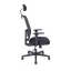 Kancelářská ergonomická židle Office Pro CANTO — více barev - Barevné varianty CANTO: Šedá