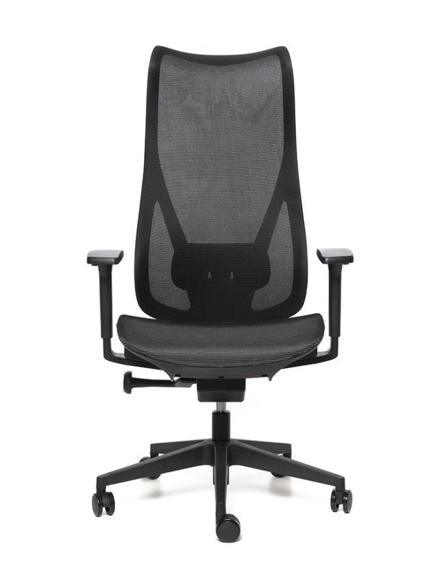 Kancelárska ergonomická stolička Sego HARMONY — sieť, čierna