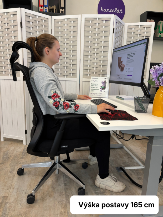 Kancelářská ergonomická židle BESSEL s podhlavníkem — síť, šedý plast, nosnost 120 kg, světle šedá MERCURY STAR