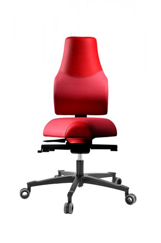 Zdravotní židle THERAPIA STANDI –⁠ na míru, více barev - Therapia Standi: NX10/CX10 GOLD