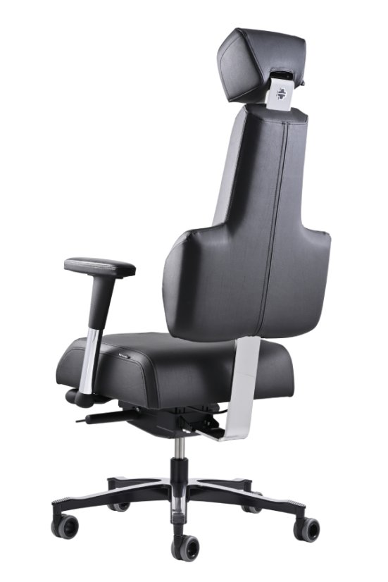 Zdravotní židle THERAPIA ENERGY+ 2XL (180 - 200 cm) –⁠ na míru, více barev
