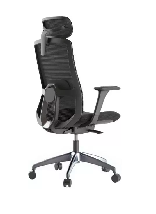 Kancelárska ergonomická stolička WISDOM s podhlavníkom - sieť, čierny plast, nosnosť 120 kg, viac farieb - Farebné prevedenie WISDOM: čierna