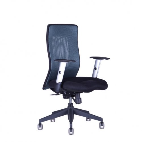 Kancelářská židle na kolečkách Office Pro CALYPSO XL BP - bez podhlavníku, více barev