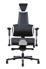 Zdravotní herní židle THERAPIA E+GAMER –⁠ černo-bílá