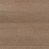 gusto camel 4