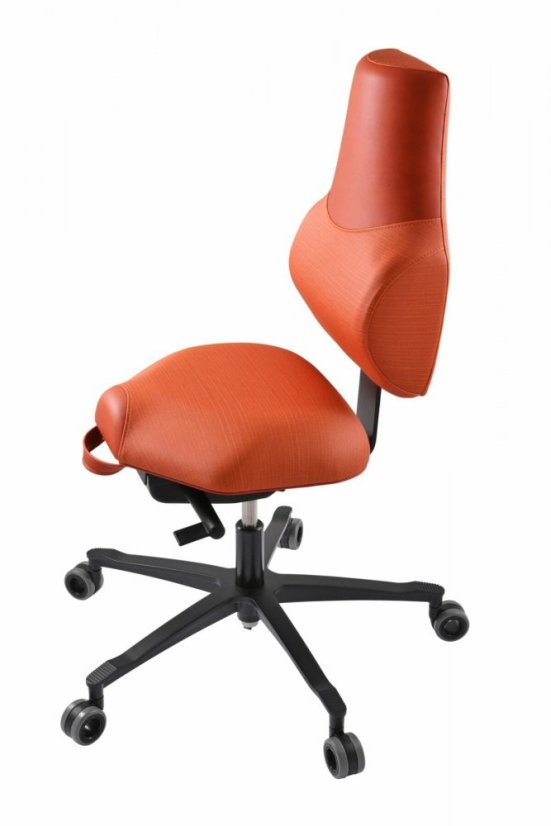 Zdravotní židle THERAPIA STANDI standardní –⁠ na míru, eko kůže, více barev