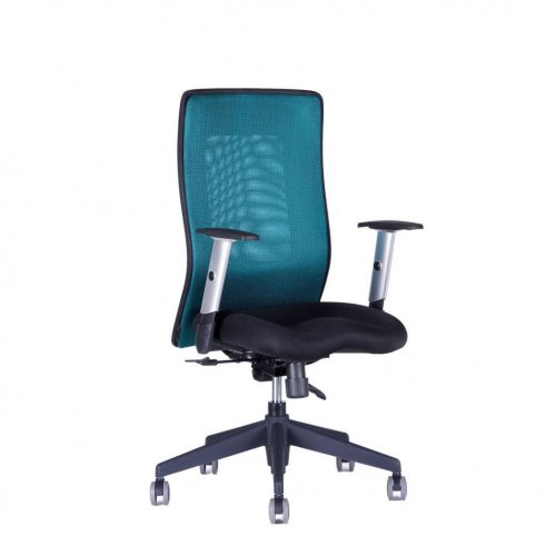 Kancelářská židle na kolečkách Office Pro CALYPSO GRAND BP – s područkami - Čalounění Calypso: Černá 1111