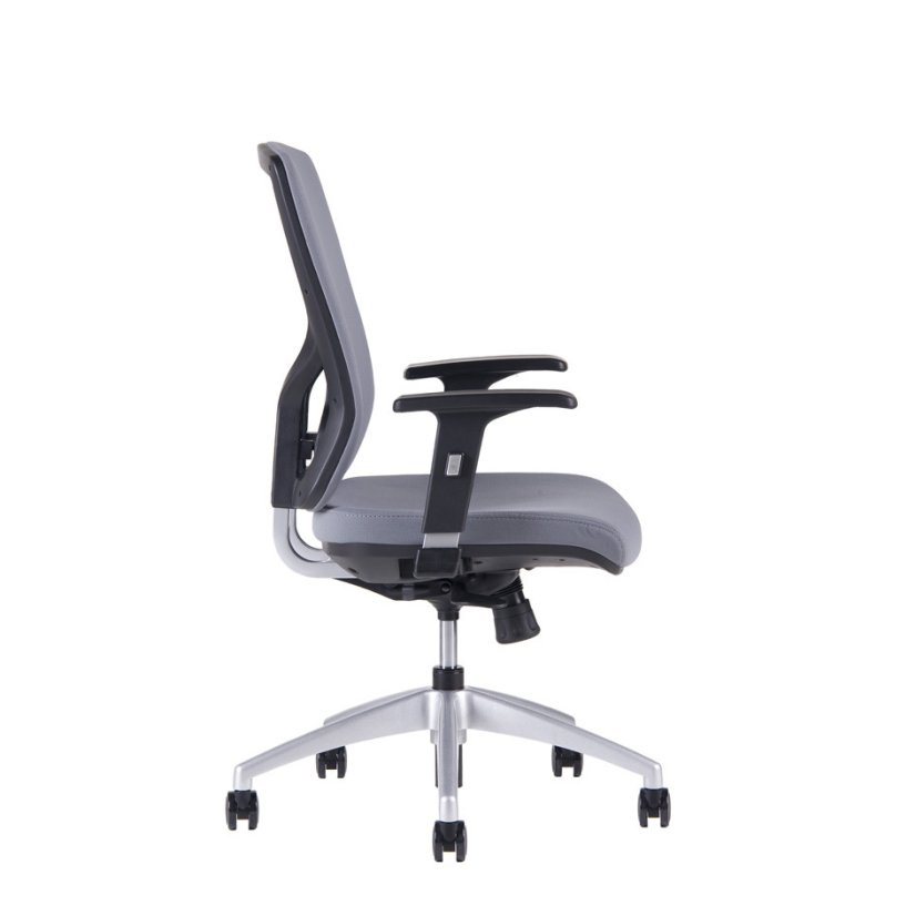 Kancelářská ergonomická židle HALIA BP – bez podhlavníku, více barev
