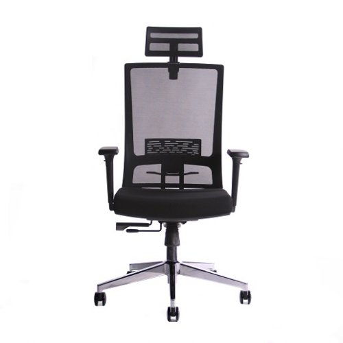 Kancelářská ergonomická židle Sego TECTON — více barev - Čalounění Tecton: Šedá