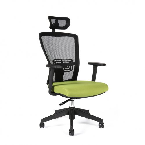Kancelárska ergonomická stolička Themis SP - s podrúčkami aj podhlavníkom, viac farieb - Farba sedadla Themis: Zelená TD-20