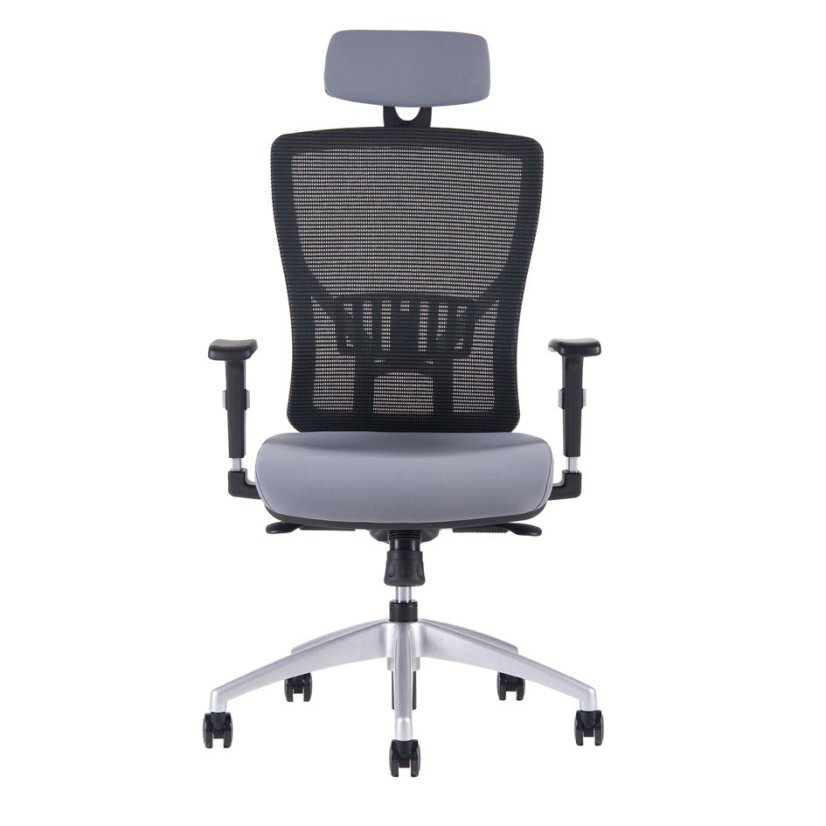 Kancelárska ergonomická stolička HALIA MESH SP – s podhlavníkom, viac farieb - Čalúnenie Halia: Modrá 2621