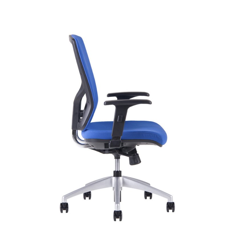 Kancelářská ergonomická židle HALIA BP – bez podhlavníku, více barev