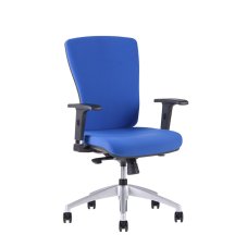 Kancelářská ergonomická židle HALIA BP – bez podhlavníku, více barev