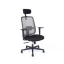 Kancelárska ergonomická stolička CANTO — viac farieb - Barevné varianty CANTO: Sivá