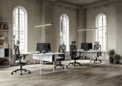 Kancelárska stolička LEAF 503 s opierkou hlavy a podrúčkami – synchronní mechanika, sieťovina, čierna-sivá LD Seating