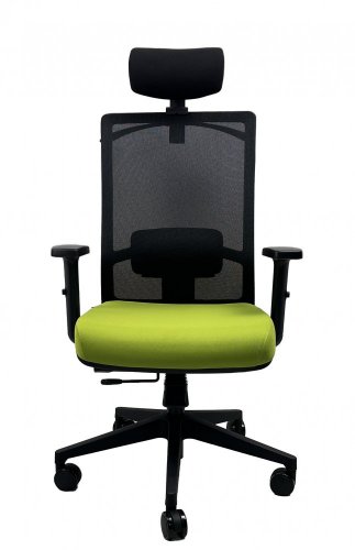 Kancelářská ergonomická židle Office More DVIS — více barev - Varianty DVIS: Šedá