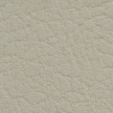 Pacific 19