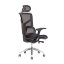 Kancelárska ergonomická stolička MEROPE SP — viac farieb, nosnosť 135 kg - Čalúnenie MEROPE SP: Modrá