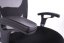 Kancelářská ergonomická židle Sego PADY — více barev, nosnost 130 kg