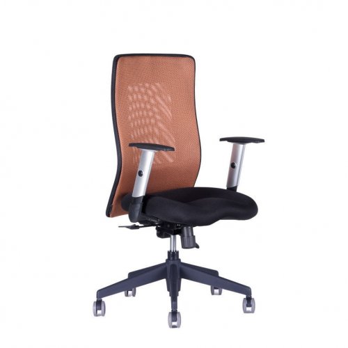 Kancelářská židle na kolečkách Office Pro CALYPSO GRAND BP – s područkami - Čalounění Calypso: Černá 1111