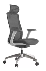 Ergonomická kancelárska stolička WISDOM s opierkou hlavy — sieťovina, sivý plast, nosnosť 120 kg, svetlo sivá Mercury star