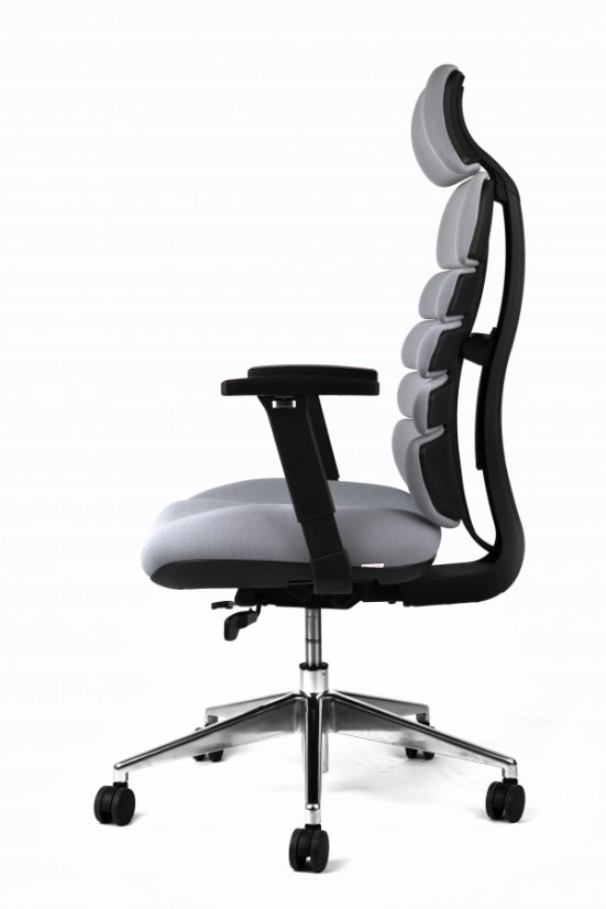 Kancelárska ergonomická stolička SPINE s podhlavníkom — látka, nosnosť 130 kg, viac farieb - Farebné varianty stoličky SPINE: Modrá