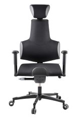 Zdravotní židle THERAPIA SENSE LS V (195 - 205 cm) - na míru, HX50/CX19 black