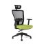 Kancelárska ergonomická stolička Themis SP - s podrúčkami aj podhlavníkom, viac farieb