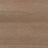 gusto camel 4