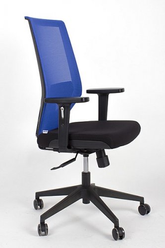 Kancelářská ergonomická židle IRIS — více barev