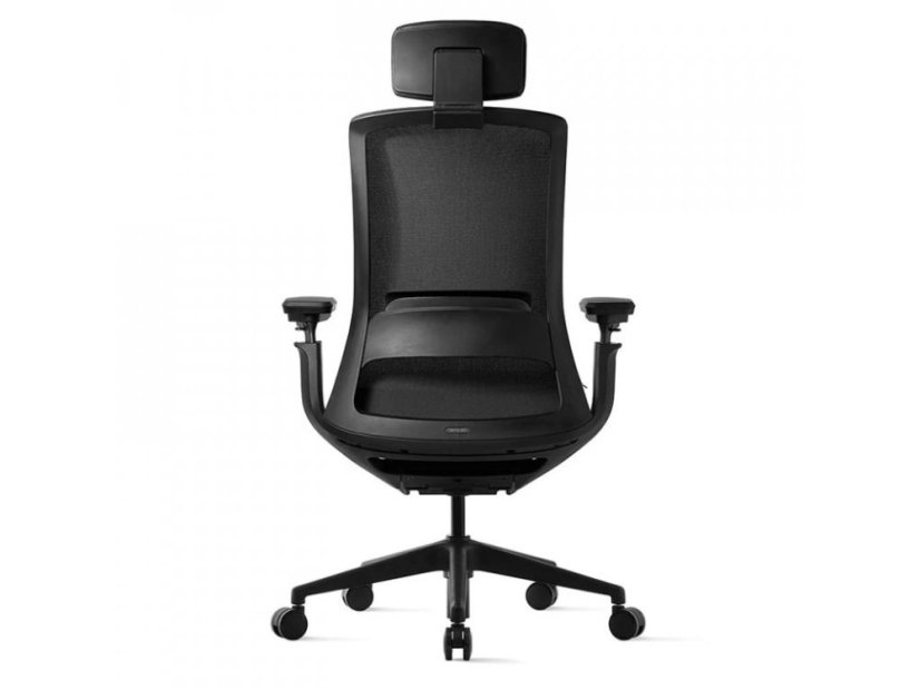 Kancelárska ergonomická stolička ROLY BLACK – sieťovina, viac farieb - Varianty stoličky ROLY: Čierná