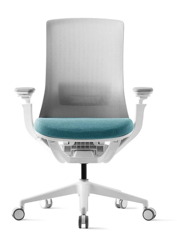 Kancelářská ergonomická židle ROLY WHITE - síťovina, více barev