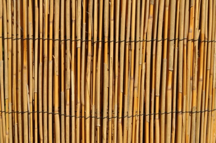 Rákosová rohož — 100 x 500 cm, přírodní