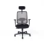 Kancelárska ergonomická stolička CANTO — viac farieb - Barevné varianty CANTO: Sivá