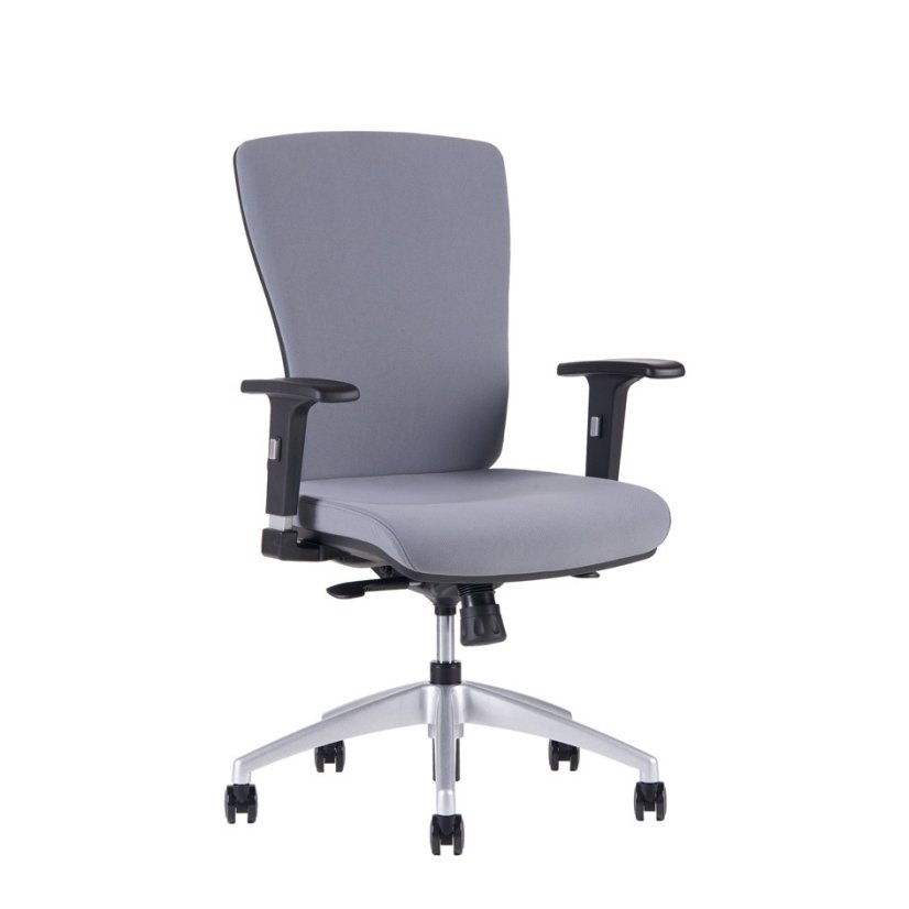 Kancelářská ergonomická židle HALIA BP – bez podhlavníku, více barev