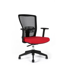 Kancelářská ergonomická židle Themis BP - s područkami a bez podhlavníku, více barev