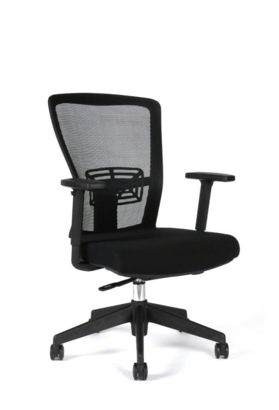 Kancelárska ergonomická stolička Themis BP - s podrúčkami a bez podhlavníka, viac farieb - Farba sedadla Themis: Čierna TD-01