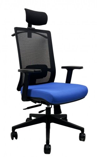 Kancelářská ergonomická židle Office More DVIS — více barev - Varianty DVIS: Modrá