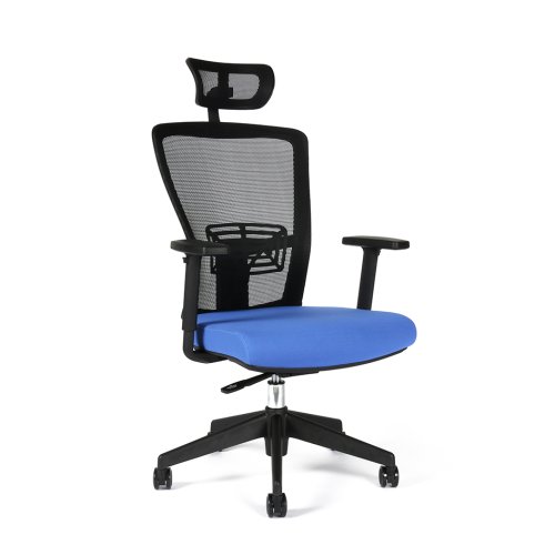 Kancelářská ergonomická židle Office Pro Themis SP - s područkami i podhlavníkem, více barev - Barva sedáku Themis: Modrá TD-11
