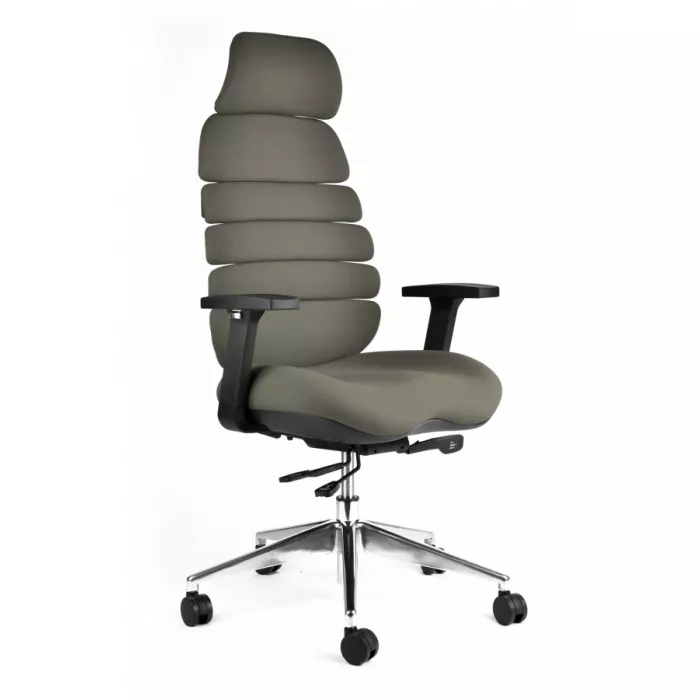 Kancelárska ergonomická stolička SPINE s podhlavníkom — látka, nosnosť 130 kg, viac farieb - Farebné varianty stoličky SPINE: Modrá